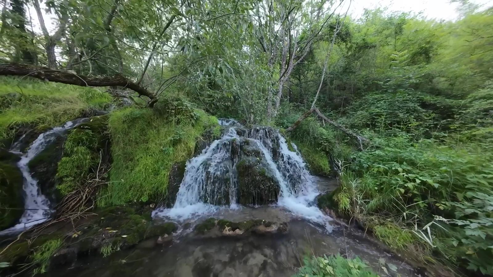Gostilje waterfall in the forest